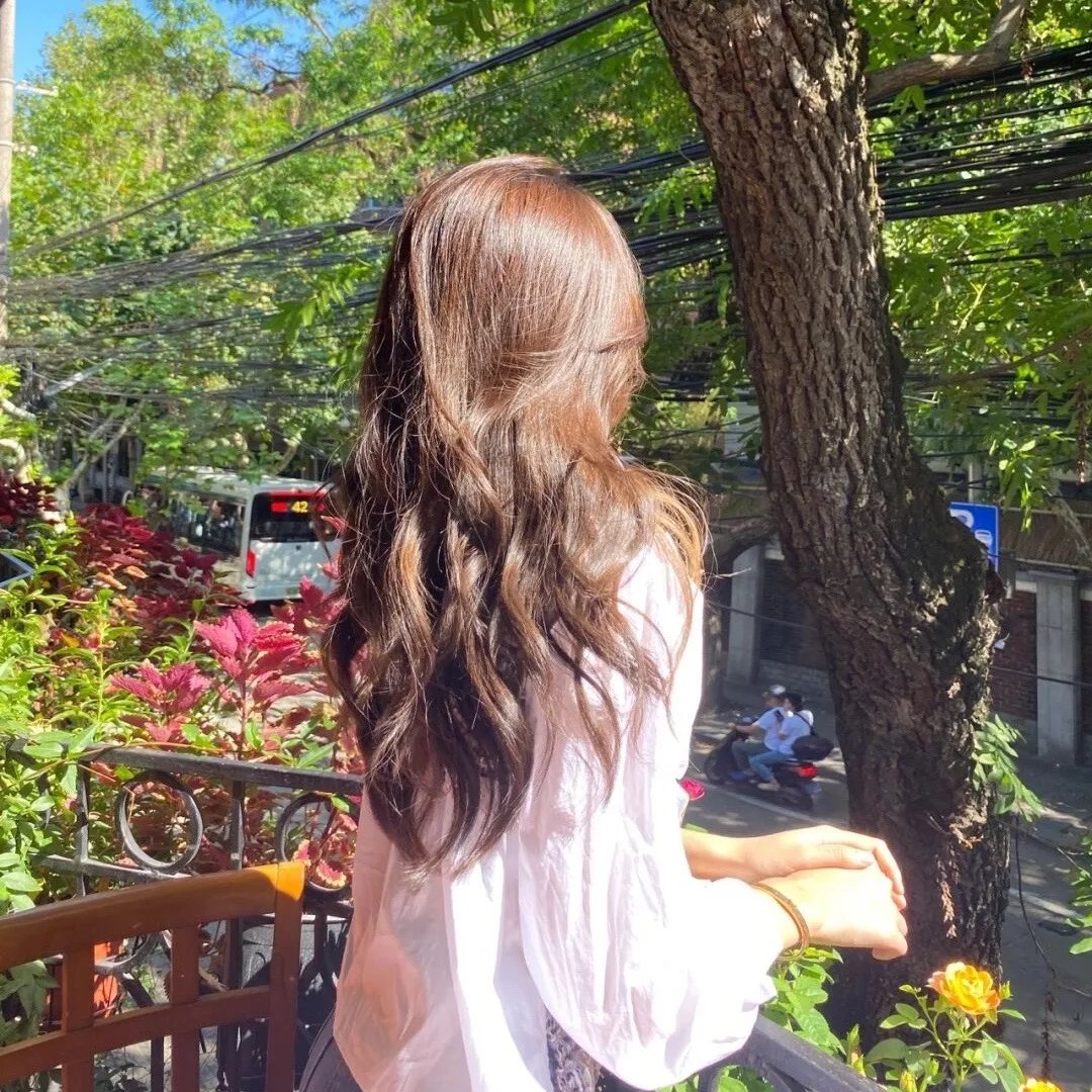 冻结的希望